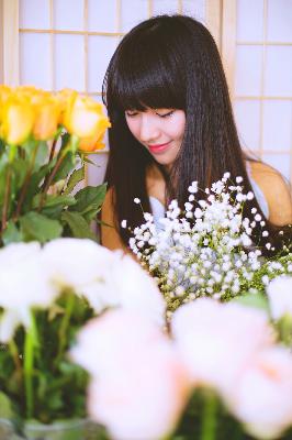 2026正版资料大全免费